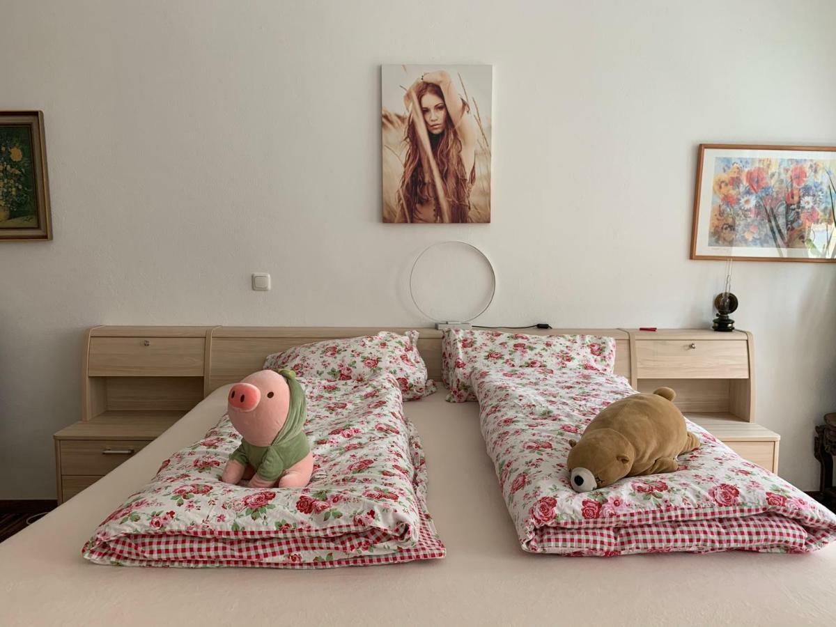 Ferienwohnung Аннаберг-Бухгольц Экстерьер фото